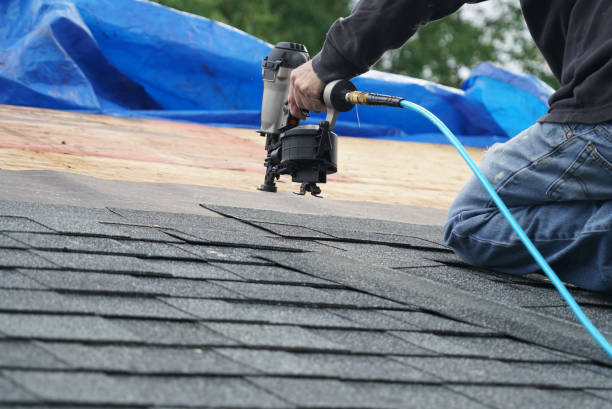 Roof Gutter Cleaning in Hart, MI