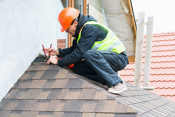 Best Roof Maintenance Services  in Hart, MI
