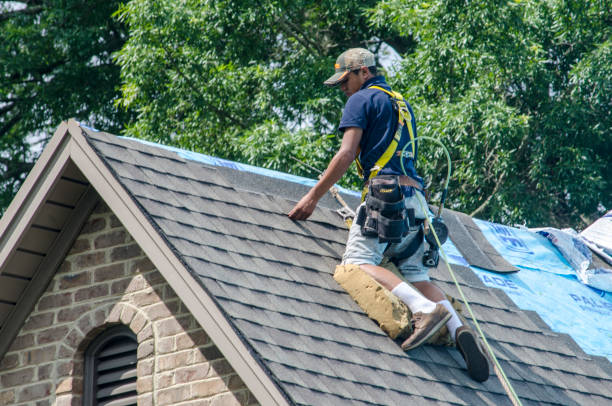 Best Metal Roofing Contractor  in Hart, MI